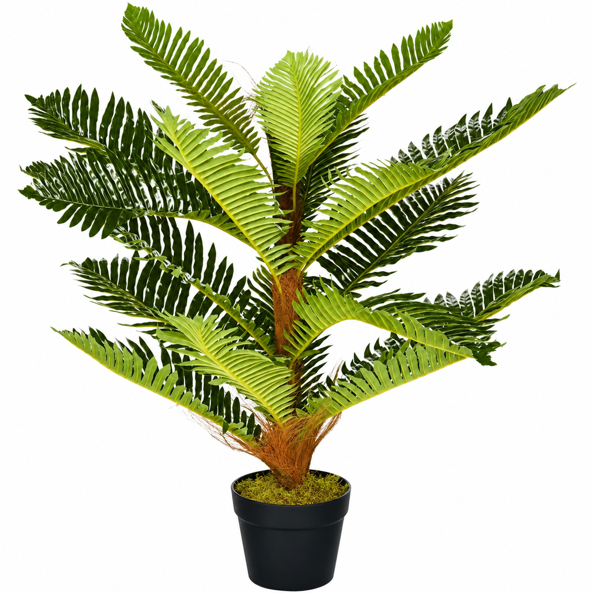Cycas artificiel 85 cm sur fond blanc
