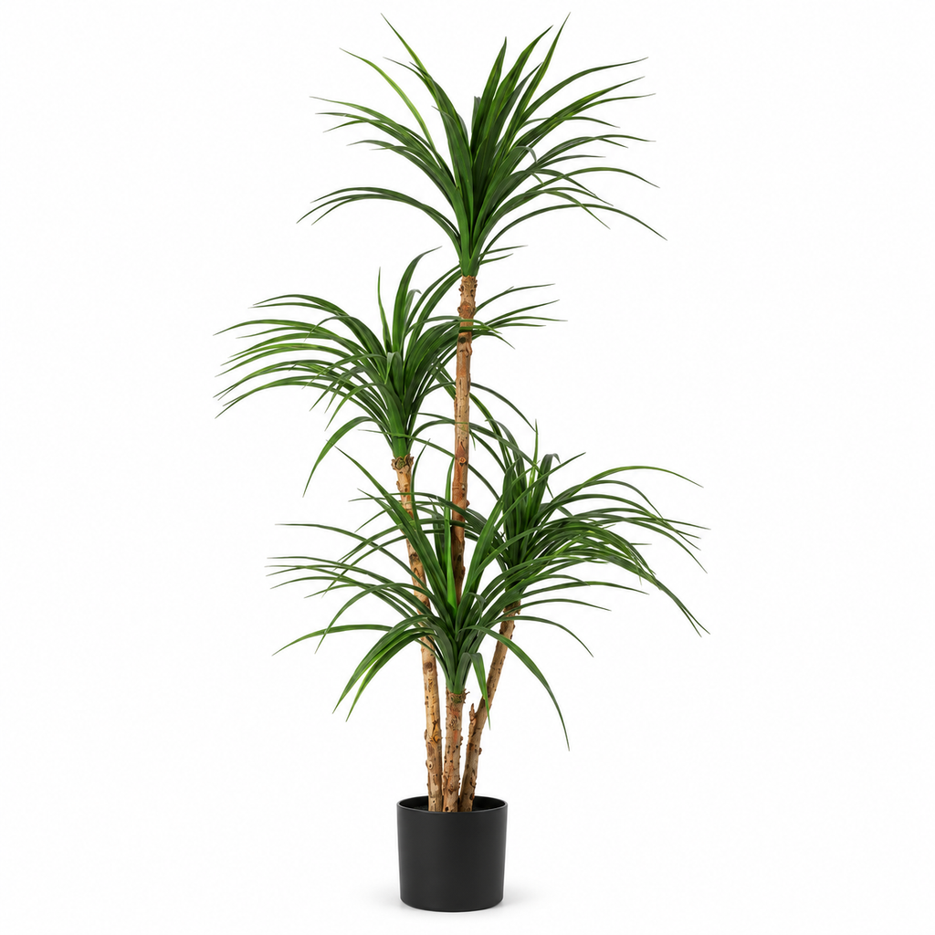 Dracaena artificiel 120 cm sur fond blanc