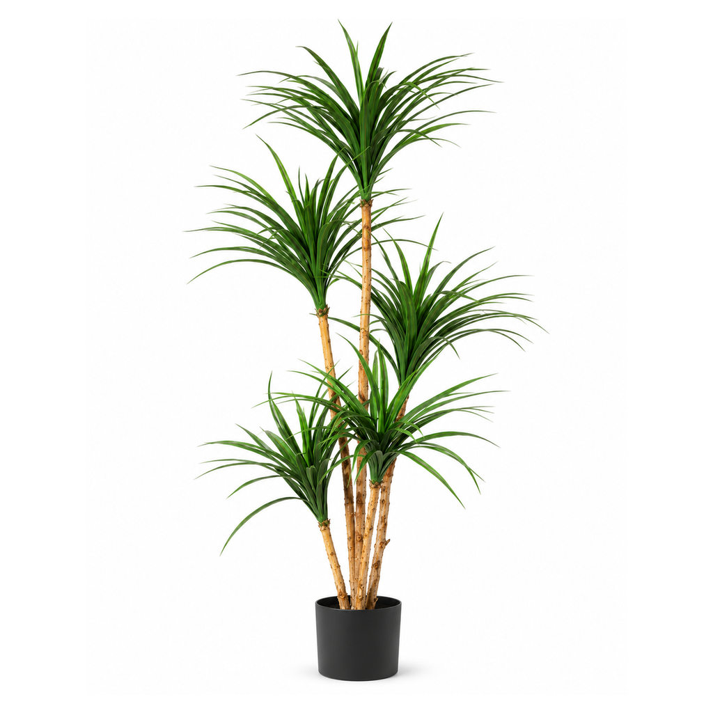 Dracaena artificiel 150 cm sur fond blanc