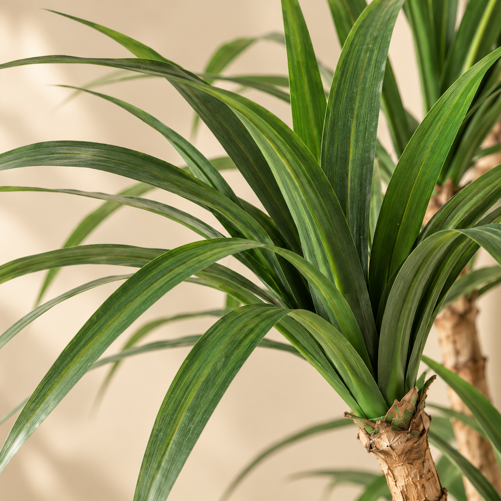 Gros plan sur le feuillage du dracaena artificiel 150 cm