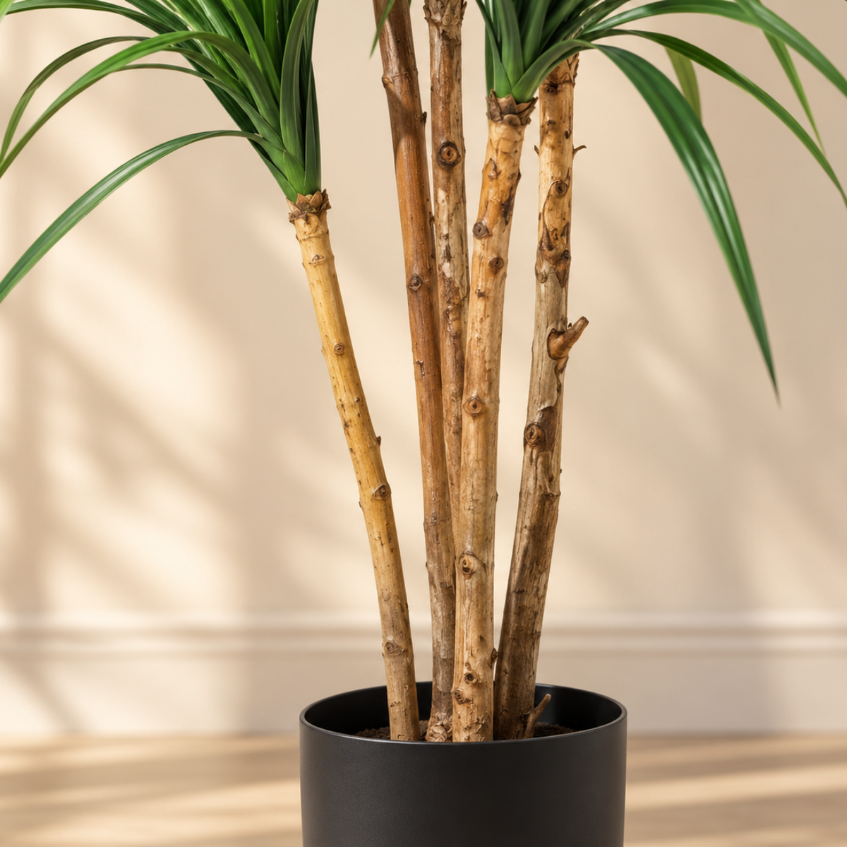 Gros plan sur le tronc en bois du dracaena artificiel 150 cm