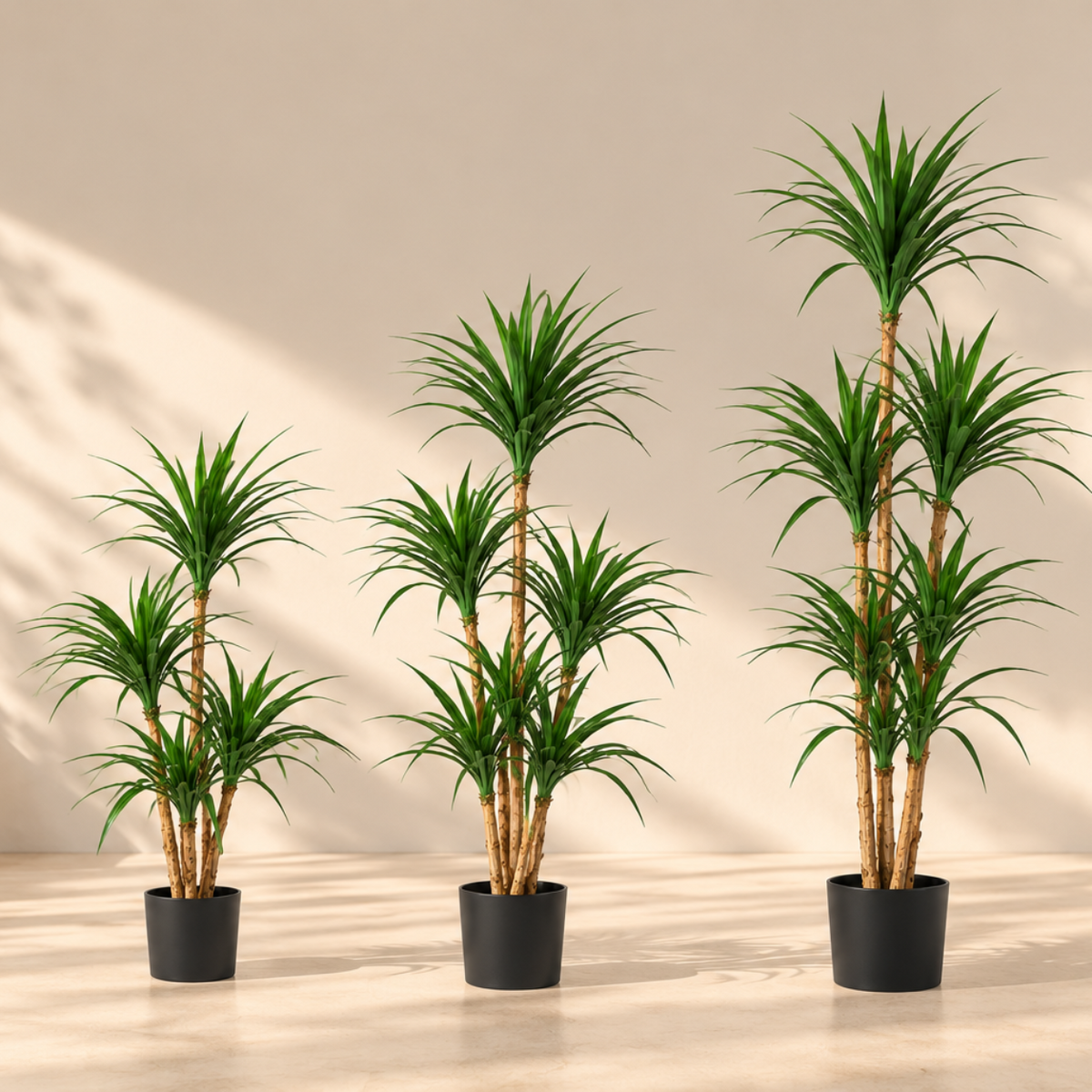 Comparaison des tailles du dracaena artificiel : 120, 150 et 180 cm