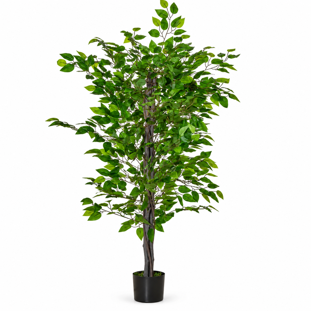 Ficus artificiel 130 cm sur fond blanc