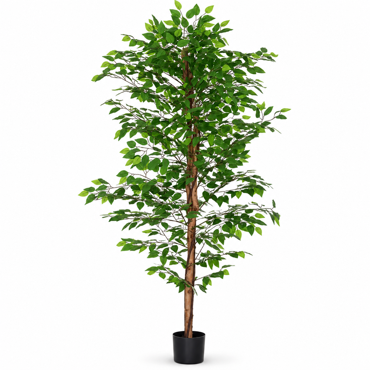 Ficus artificiel 180 cm sur fond blanc