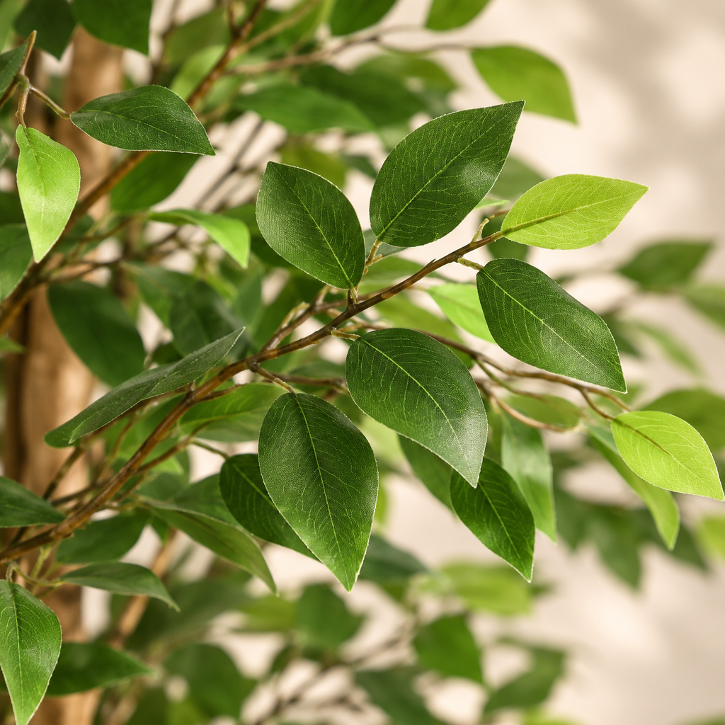 Gros plan sur le feuillage du ficus artificiel 180 cm