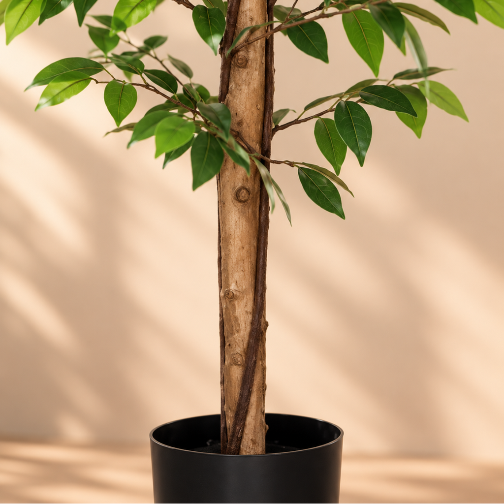Gros plan sur le tronc du ficus artificiel 180 cm