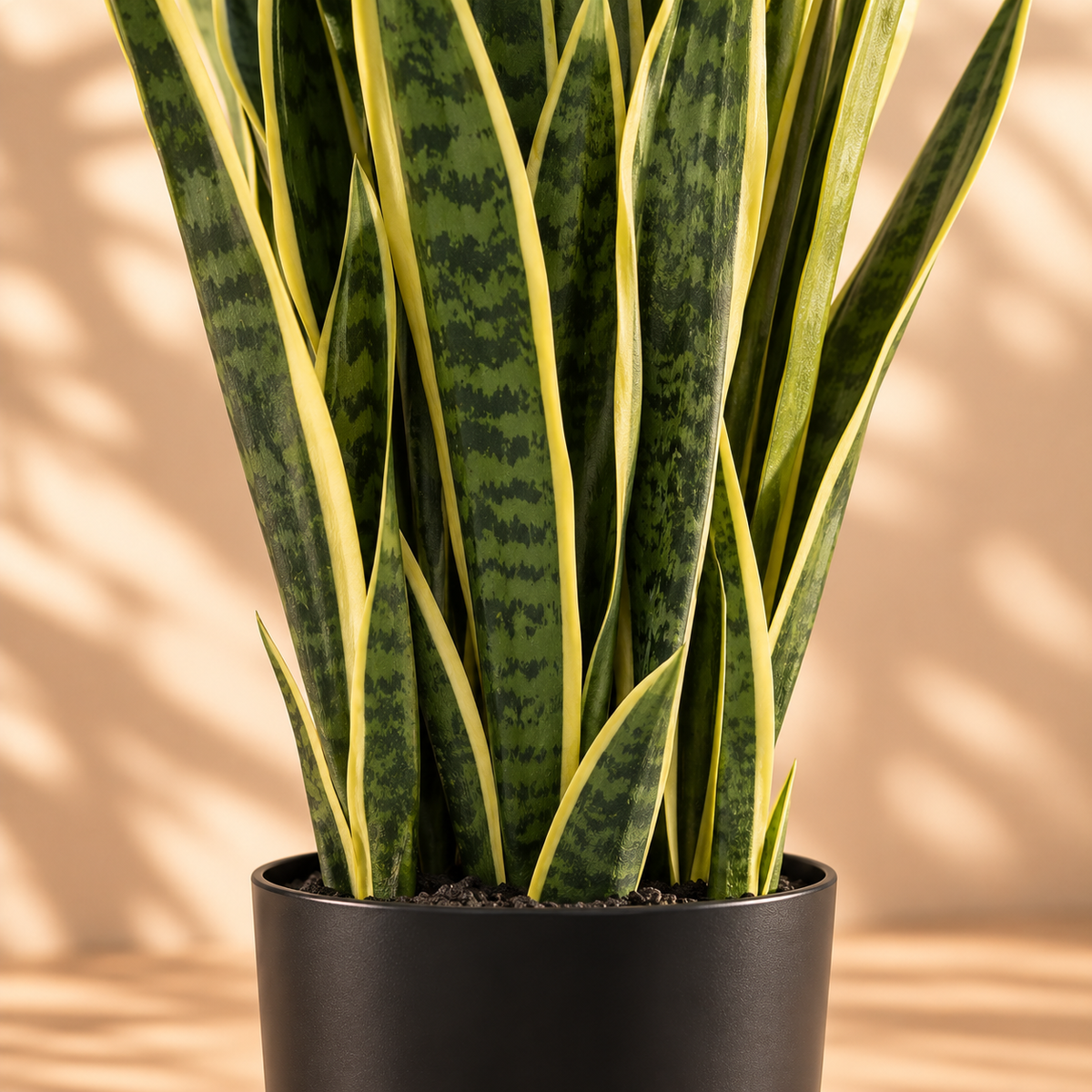 Gros plan sur le pied de la sansevieria artificielle 90 cm